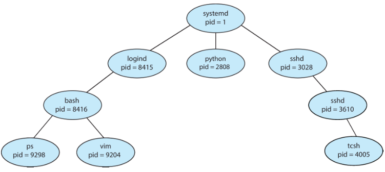Process Tree