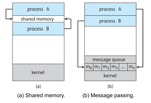 IPC models
