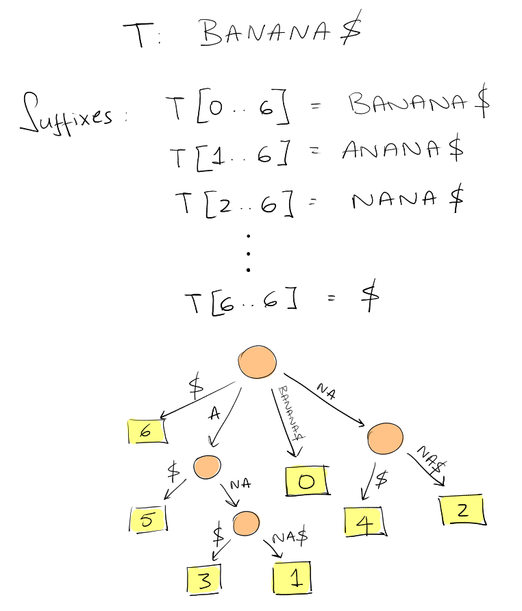example suffix tree